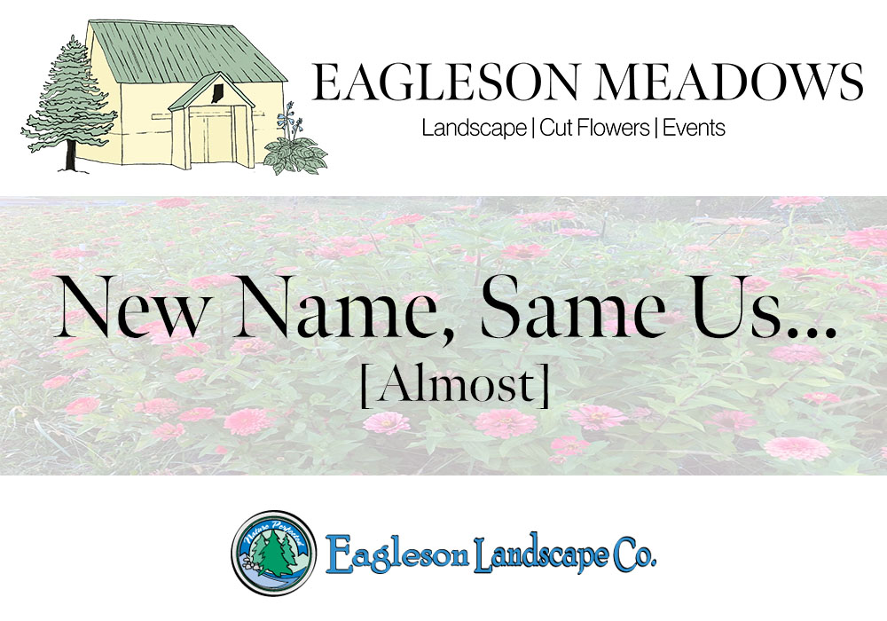 Read more about the article Eagleson Meadows: New Name, Same Us [Almost]
