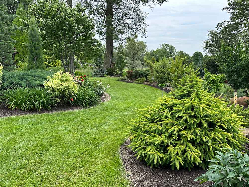 Image of an Eagleson Meadows garden with a winding grass path