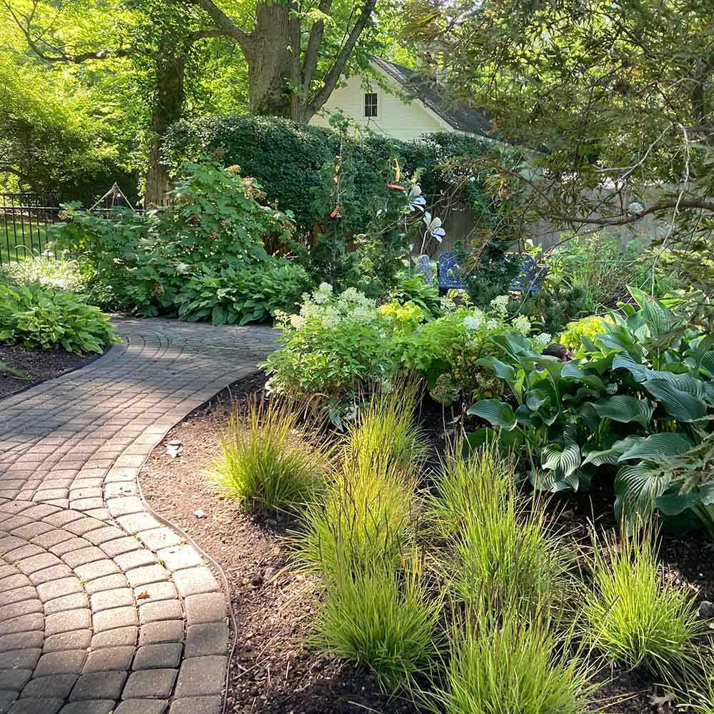 Image of a landscape design featuring a pathway and perennials